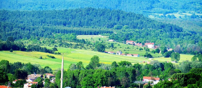 CEMAL TÜRKAN&#039;I ANIYORUZ