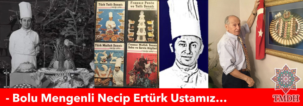 NECİP ERTÜRK VEFAT ETTİ