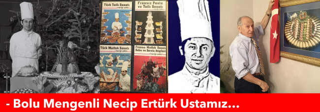 NECİP ERTÜRK VEFAT ETTİ