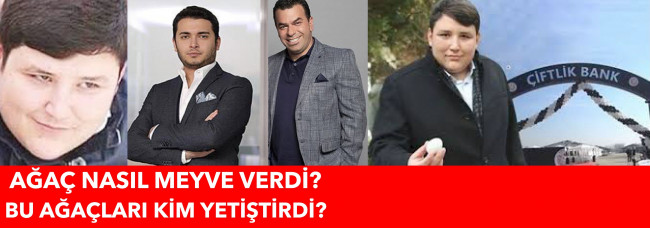 MEYVE VEREN BU AĞAÇLARI KİM YETİŞTİRDİ? BİR MEYVE AĞACI HİKAYESİ